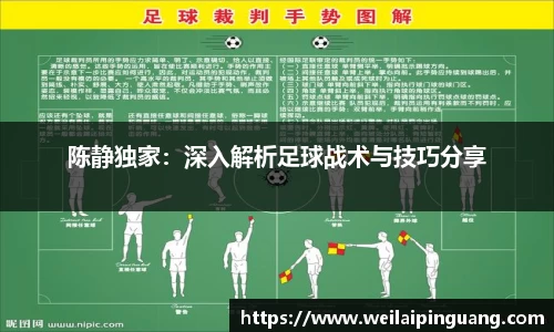 芒果体育直播官网